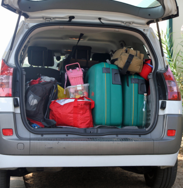 Treasures In The Trunk